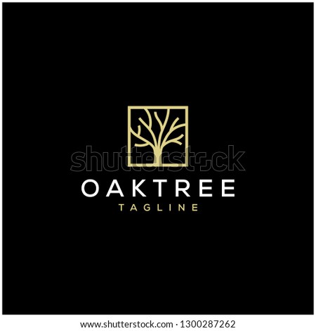 elegant oak tree logo design