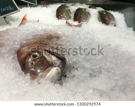  picture of dead unknown fishes lay on ice tray in supermarket