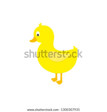 Cute duck on white background. Vector illustration.