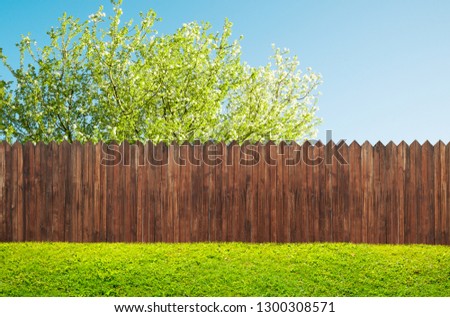 wooden garden fence at backyard and bloom tree in spring Royalty-Free Stock Photo #1300308571