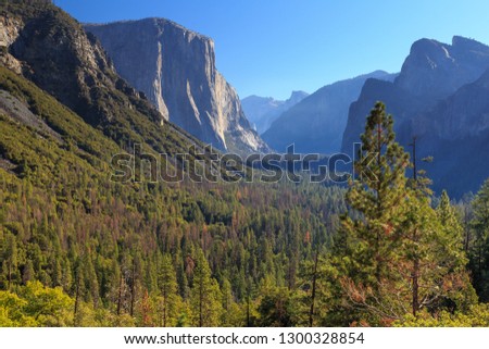 Valley in Yosemite national park with El Capitan and Half Dome