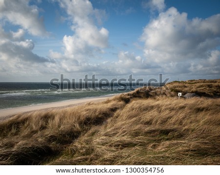 Sylt late in the summer in the sunshine