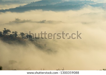 the fog and the sun in an early morning  at Da Lat city, the pine hill and greenhouse under the hill in mist