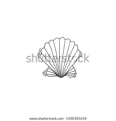 shell sketch drawing icon summer themed, vector illustration
