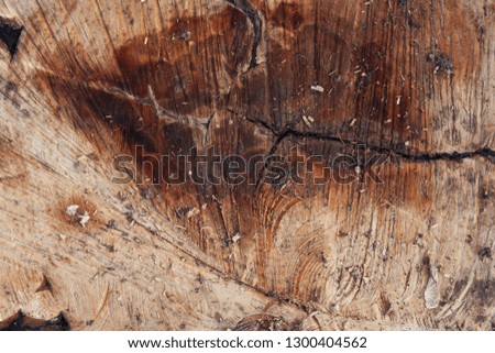 sawn wooden surface