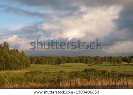 The magnificent landscape combines the field, the forest, the river with the reed surrounding its shore, a piece of blue sky and the approaching thunderclouds of unique colors and shades.
