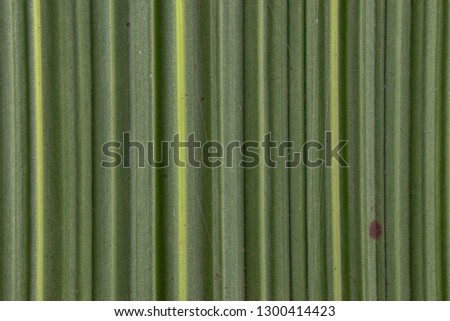 green leaf background pattern texture