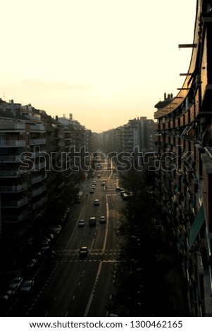 Street in the city. Madrid Avenue