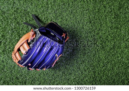 Baseball glove with green grass background