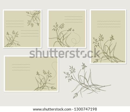 Postcards and cards with field, meadow herbs. Vector