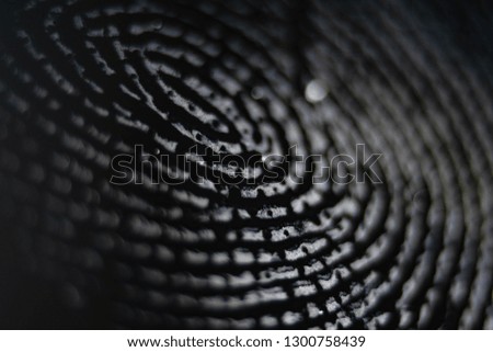 An extreme closeup of a fingerprint that has been dusted with black powder for evidence at a crime scene on an isolated textured white background - Image