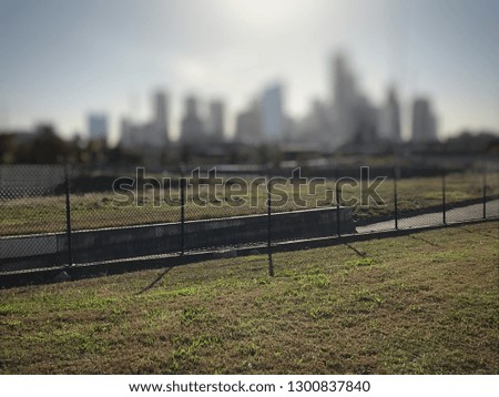 A grassy lawn and the downtown Houston skyline.