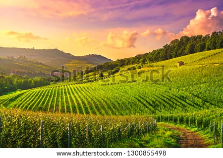 Langhe vineyards sunset panorama, Barolo and La Morra, Unesco Site, Piedmont, Northern Italy Europe. Royalty-Free Stock Photo #1300855498