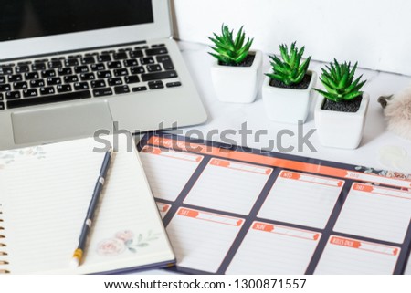 Small pots with succulents, notebook, pencil and laptop