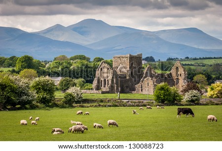 Idyllic Irish Landscape Royalty-Free Stock Photo #130088723