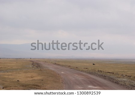 African savanna landscape