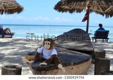 Monkey Toy in Zanzibar