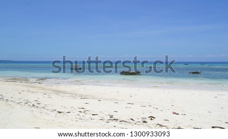 Island Life in Zanzibar