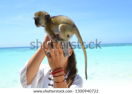 Monkey on the Island