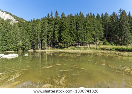 Summer landscape of  Saladzha Smolyan lake at Rhodope Mountains, Smolyan Region, Bulgaria