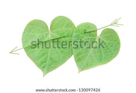 love concept: pair of hearts from leaves for happy valentine day or card.