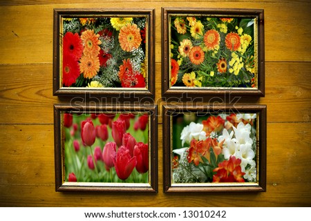  picture of flowers with  frames on wooden wall