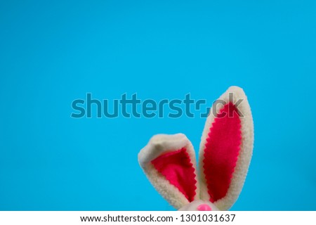 Easter background. Right Easter bunny ears on a blue background. Cropped shot, close up, nobody, horizontal, blurred, free space. Easter concept.