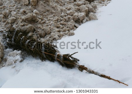 
A picture of a background with a thrown Christmas tree near a pile of snow in winter. Garbage  on the street