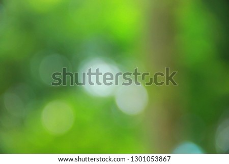 green background bokeh