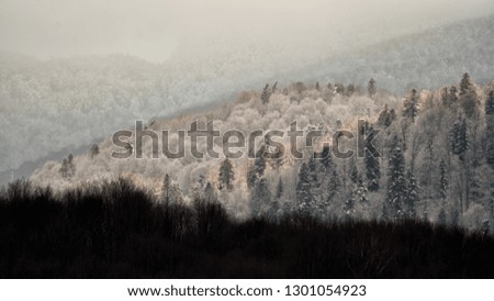 Beautiful winter mountain landscape. Forest in the rays of the setting sun. Bieszczady Mountains. Poland