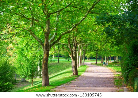 Pedestrian walkway for exercise lined up with beautiful tall trees Royalty-Free Stock Photo #130105745