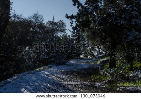 Rare pictures of Athens on a winter day, covered with snow.