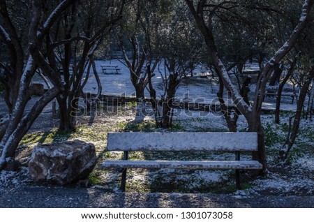 Rare pictures of Athens on a winter day, covered with snow.