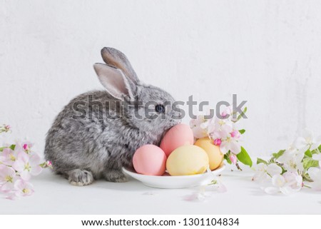 bunny with easter eggs on white background