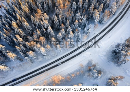 Winter in Finland - Lappeeranta - south karelia - nordic - 