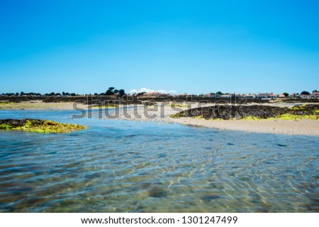 view on le petit vieil from in the water with sand in summertime on the isle of Noirmoutier