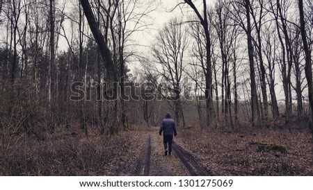 Man walking alone in magical dark autumn colored foggy wild forest landscape. 
