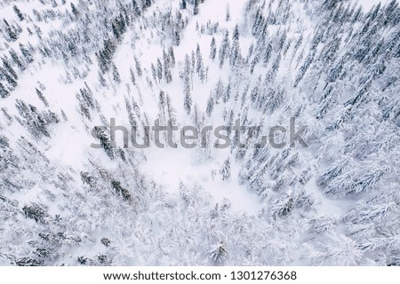 Mountain snow covered pine forest, top down aerial view. Winter landscape. 