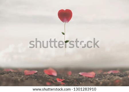 romantic flower flies in the sky, conceptual and surreal image of love
