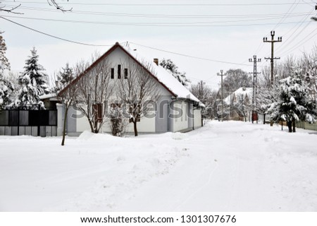 winter in village in Vojvodina, Backi Petrovac