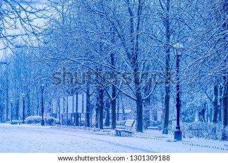 Beautiful picture of winter frozen trees in park