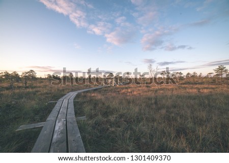 wooden plank boardwalk in swamp area in autumn in perspective. forest nautre trails for tourists and education in Latvia - vintage retro film look