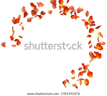 Orange rose petals fly in a circle. The center free space for Your photos or text. Isolated white background