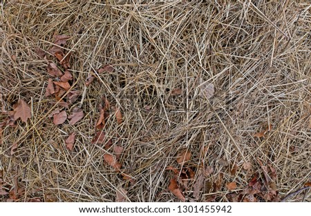 texture background wallpaper straw leaves 