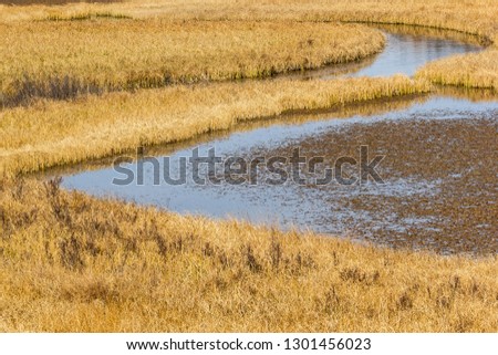 Bend of river bed with yellow grass on bank