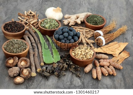Adaptogen food selection with herbs, spice, fruit and supplement powders. Used in herbal medicine to help the body resist the damaging effect of stress and restore normal physiological functioning. Royalty-Free Stock Photo #1301460217