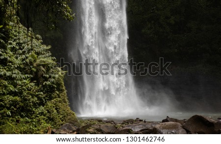 Waterfall hidden in the tropical jungle. Bali. Nature background. Cope space. Rainforest. Natural nature colours. 