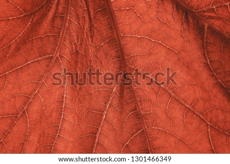 Coloured detailed leaf background.