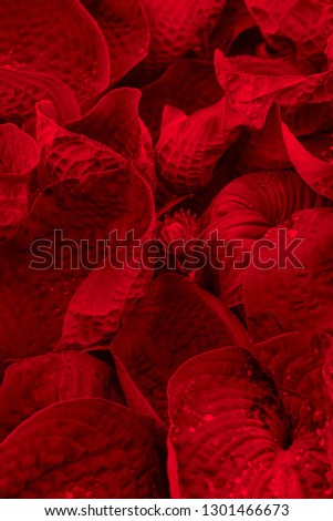 Colurful floral background.