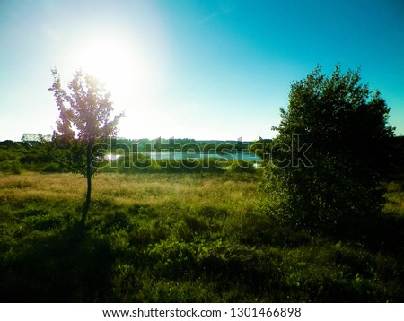 Landscape of meadow and pond in background. Summer season, polish nature, picture from Kashubian, Pomeranian Voivodeship.